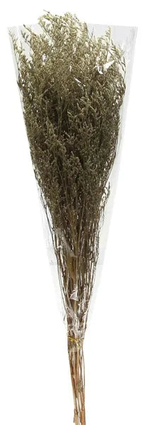 29.5"L DRIED TELEGRAPH PLANT BUNCH-NATURAL-TF002618