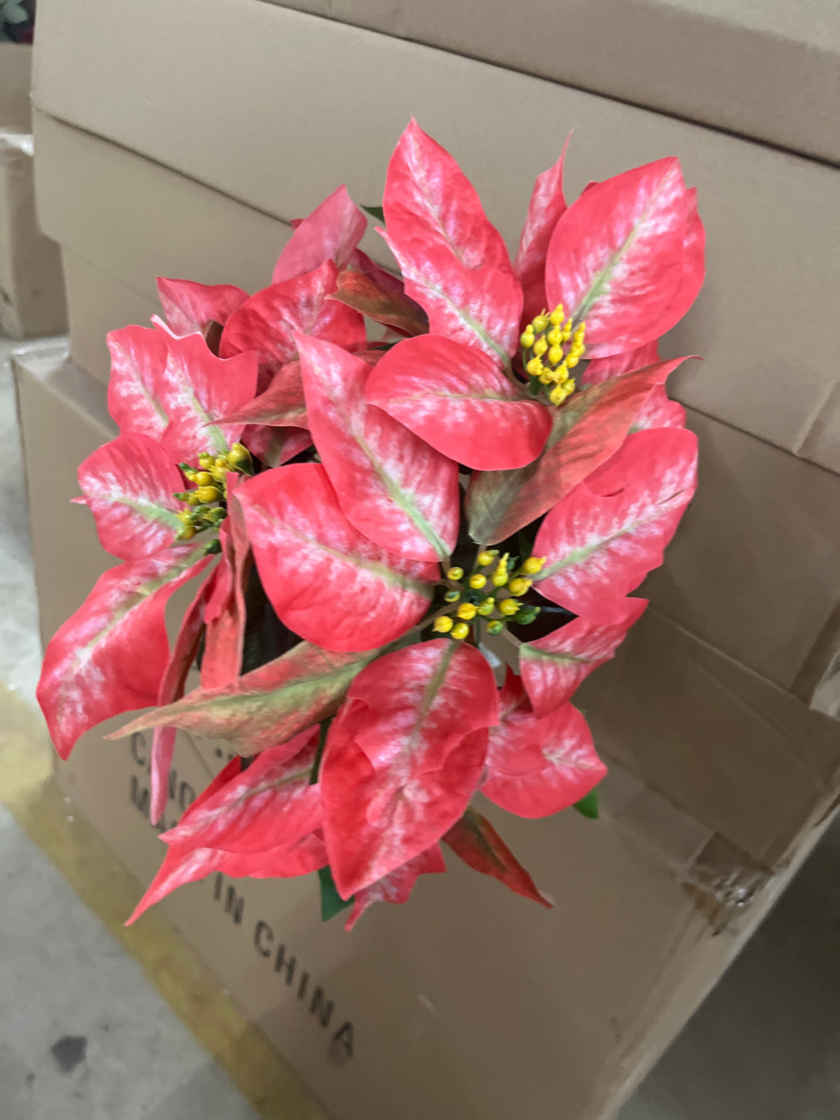 FANCY POIN BUSH X 7-BTY-54684