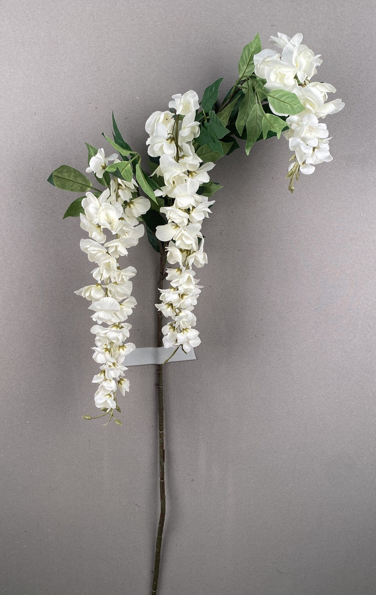 WISTERIA SPRAY X 3 CREAM - 19101