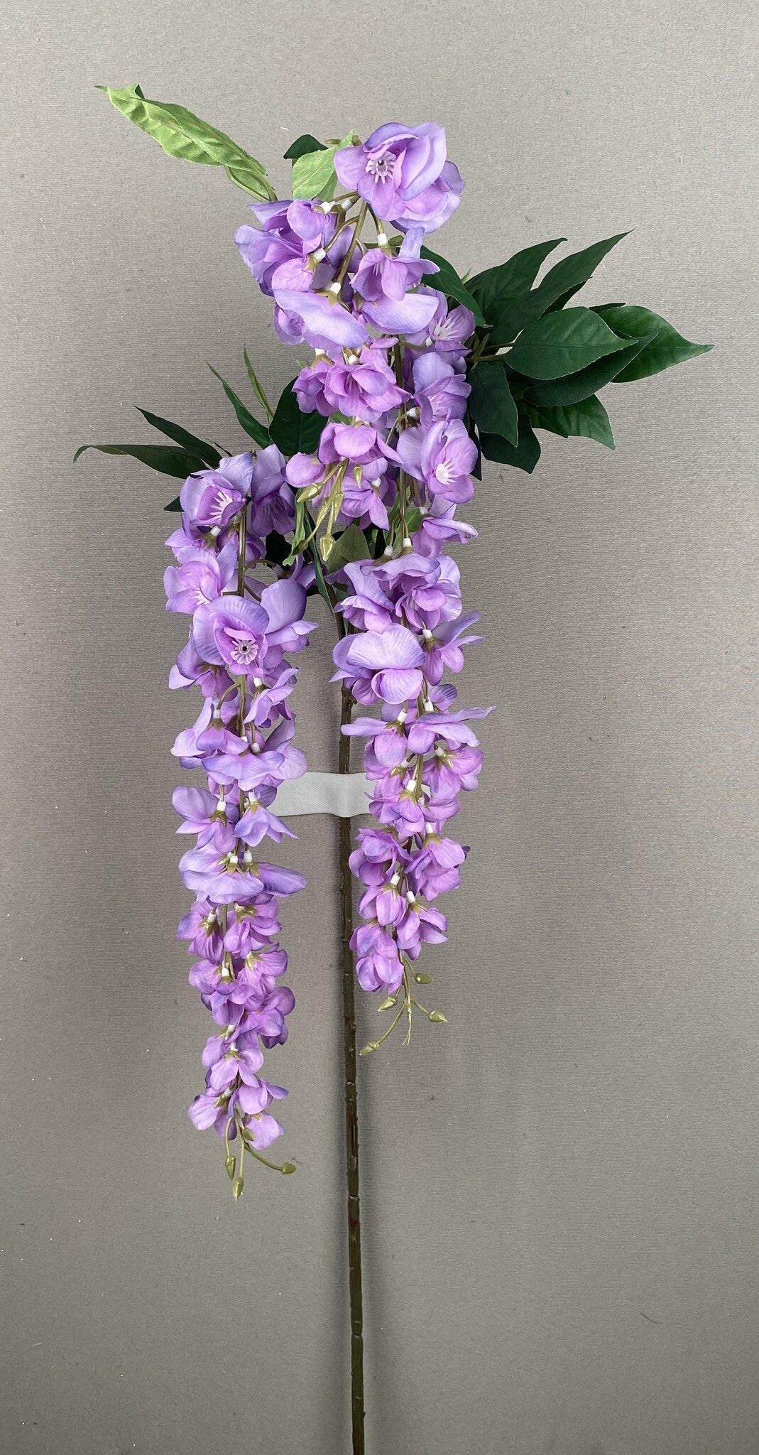 WISTERIA SPRAY X 3 PURPLE - 19102