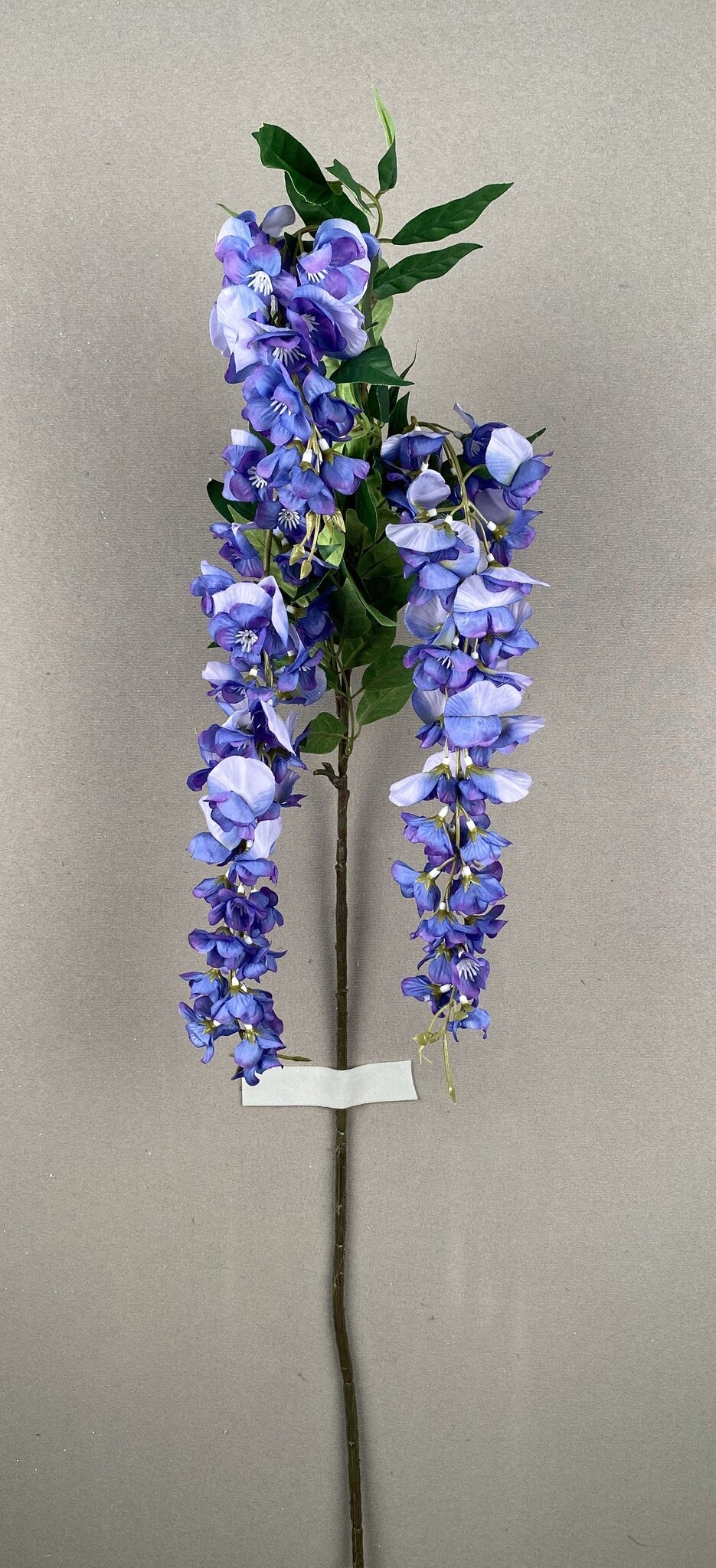 WISTERIA SPRAY X 3 BLUE - 19104