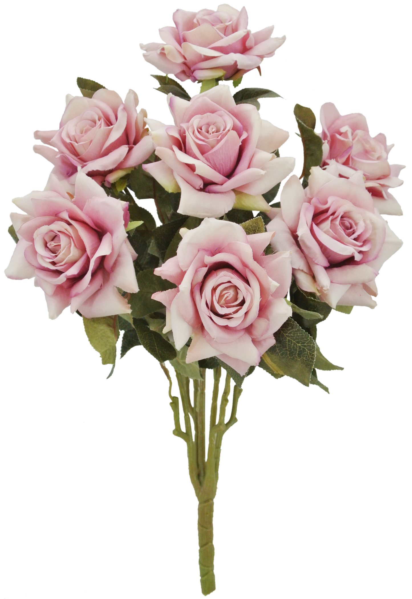 23 IN ROSE BUSH X 7 - 20135-LV