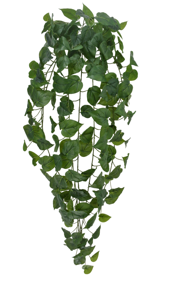 45 IN PHILO HANGING W 178 LEAVES - 21169