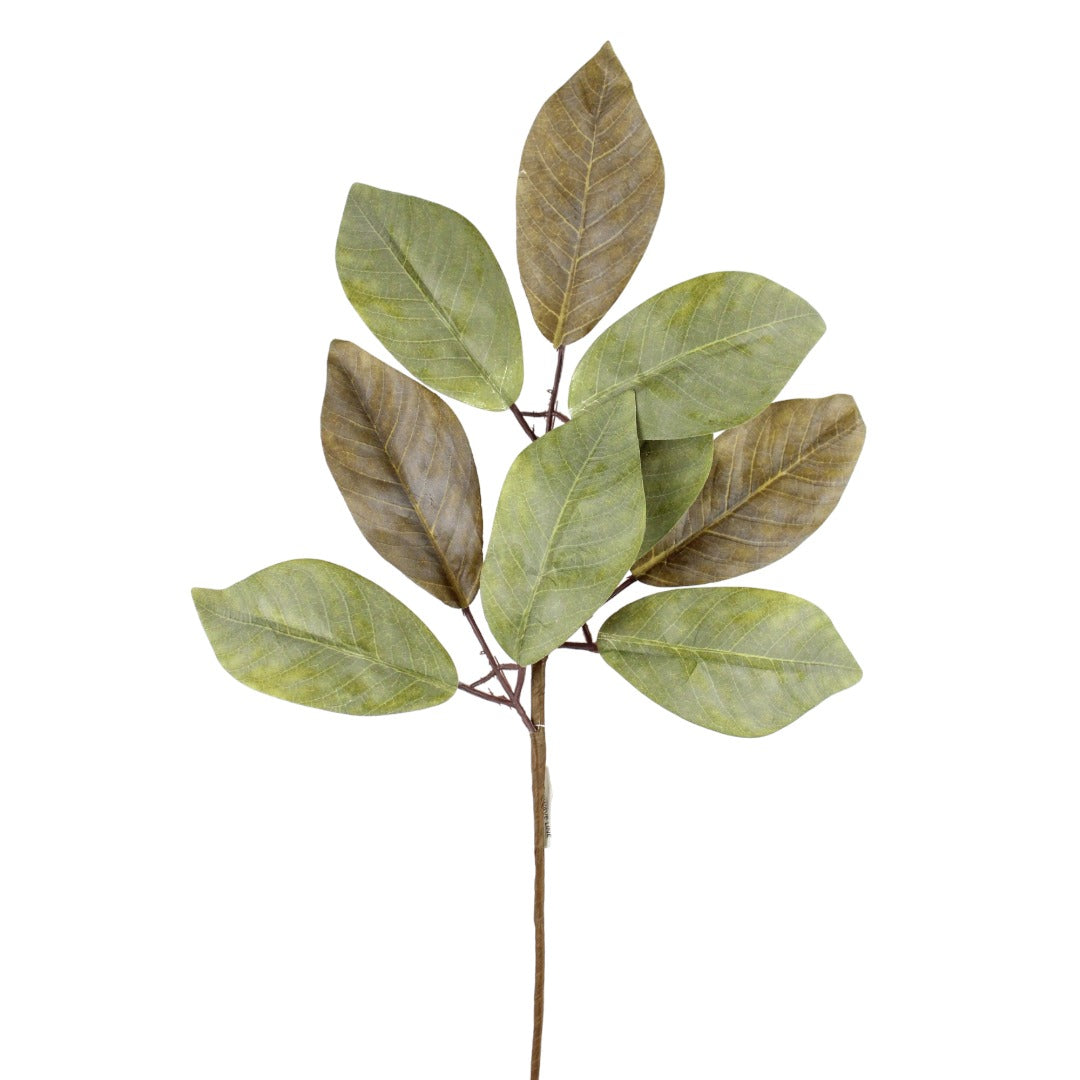 24" GREEN BROWN MAGNOLIA LVS SPRAY - 228868