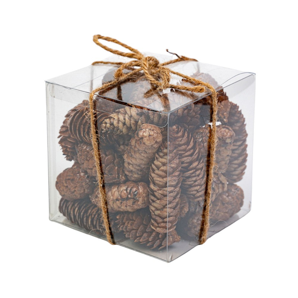 6"X6" NATURAL PINECONE IN BOX - 254705