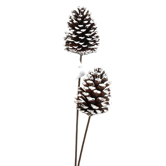 24" WHITE NATURAL SUGAR CONE X2 PICK - 260270