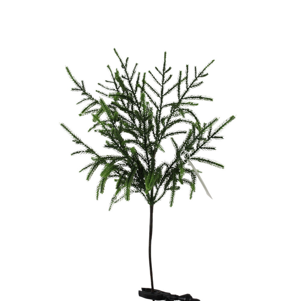 24" NORFOLK SPRAY - 262896