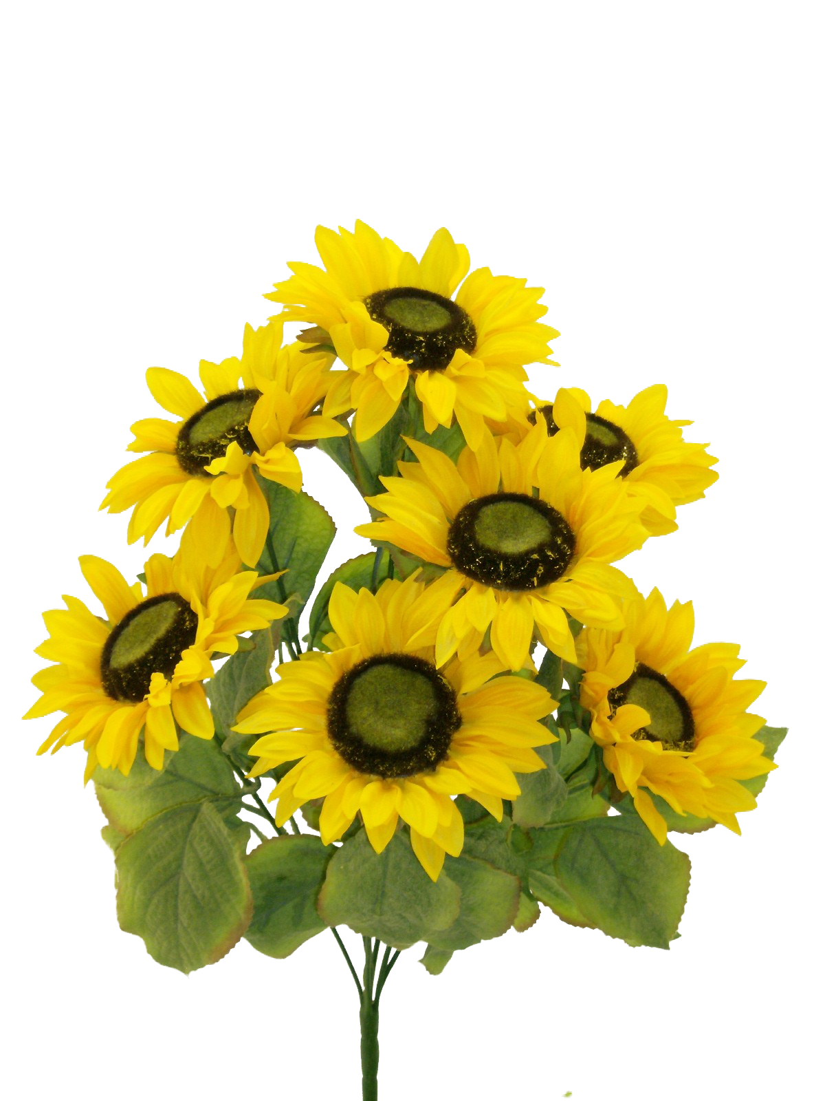 Color Fast Sunflower Bush x 7 H22 - 30294GDYW