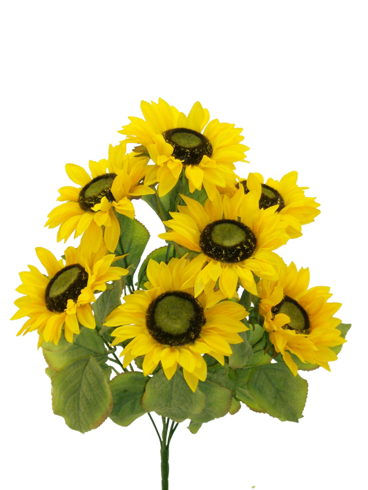 Color Fast Sunflower Bush x 7 H22 - 30294GDYW