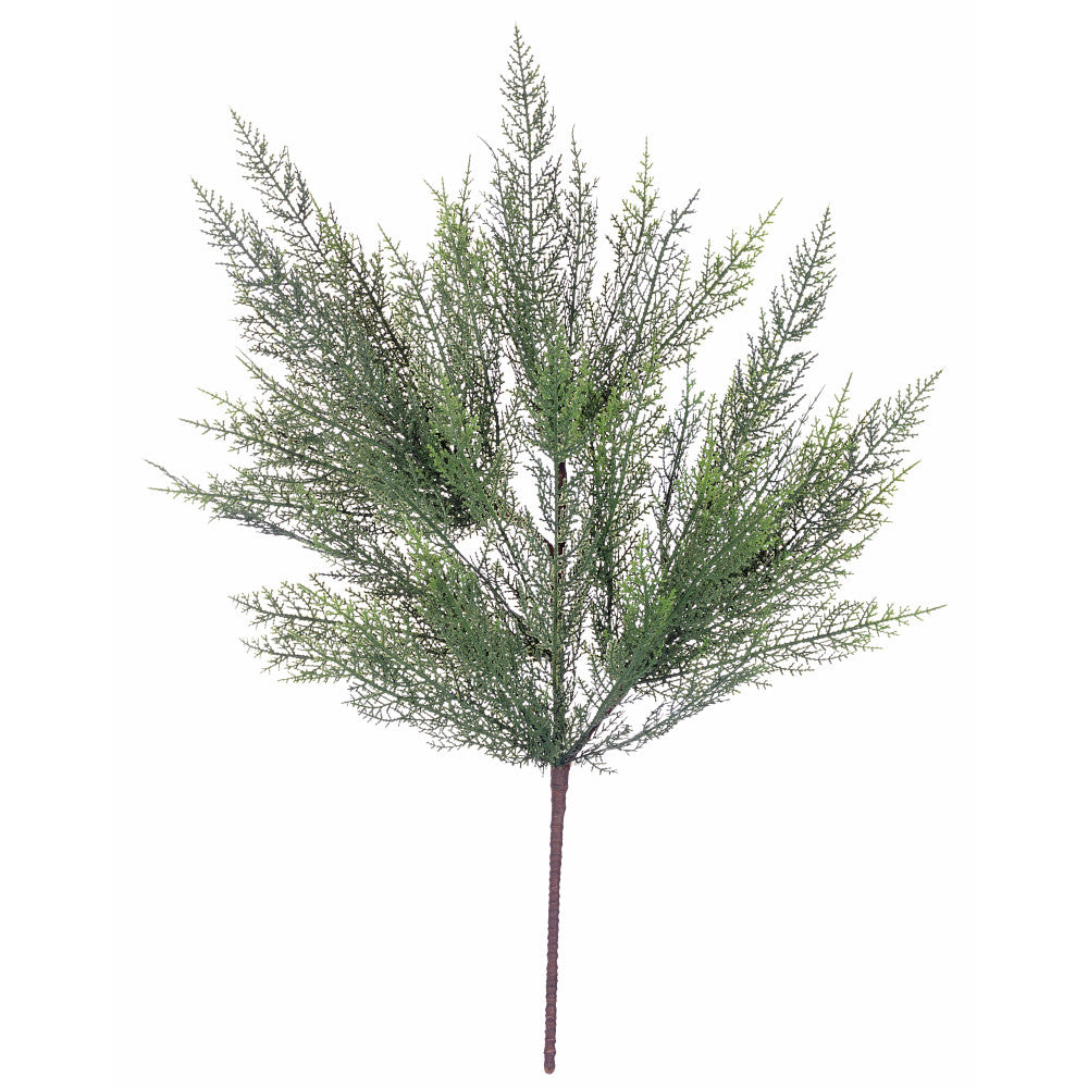 30" ATLAS CEDAR SPRAY - 262916