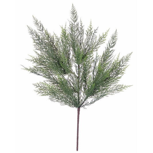 30"  ATLAS CEDAR SPRAY - 262916