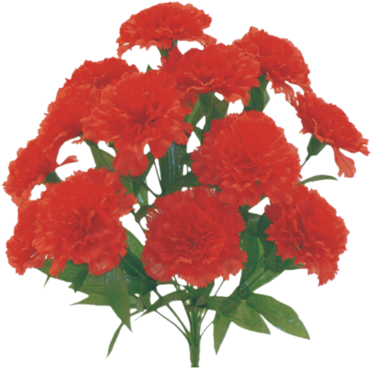 Red Color Fast Carnation Bush x 14 - 314113RD