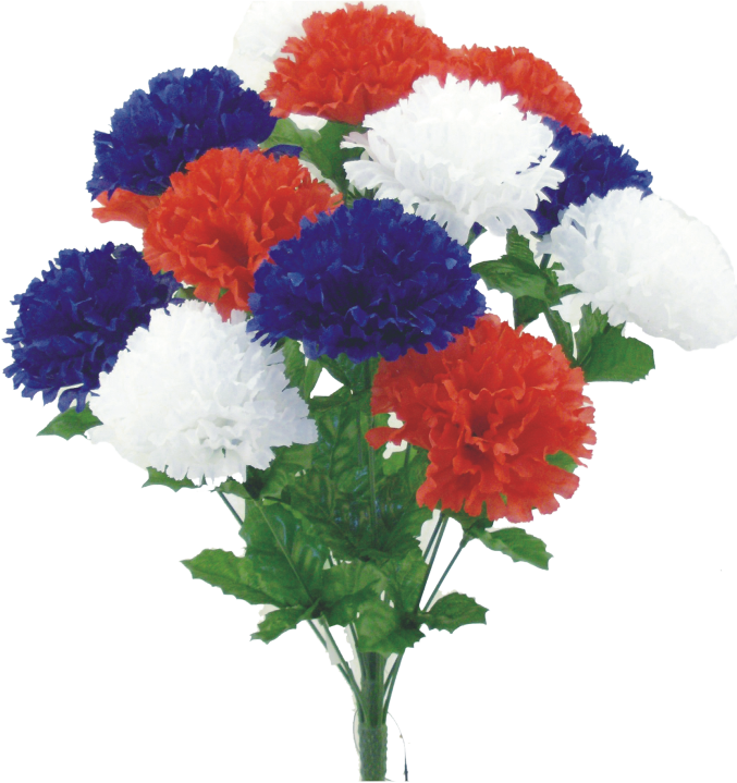 Red White Blue Color Fast Carnation Bush x 14 - 314228RWB