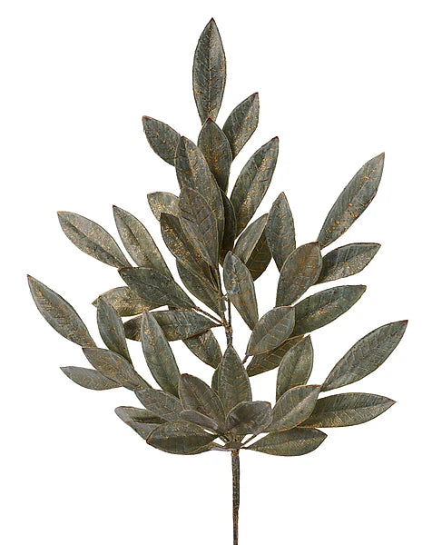 23.5"L BRUSHED BAY LEAF SPRAY- SAGE GREEN/GOLD- XX9687E4