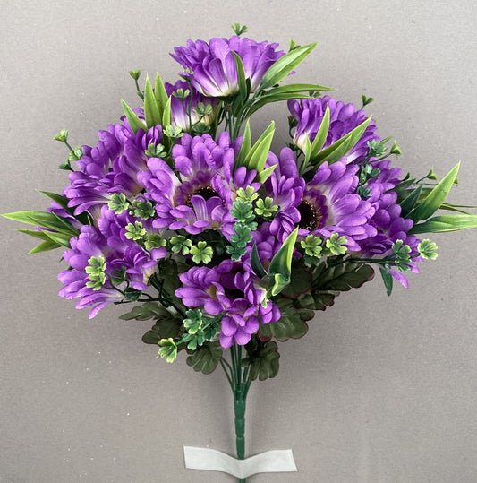 GERBER DAISY BUSH X12 PURPLE - 41134