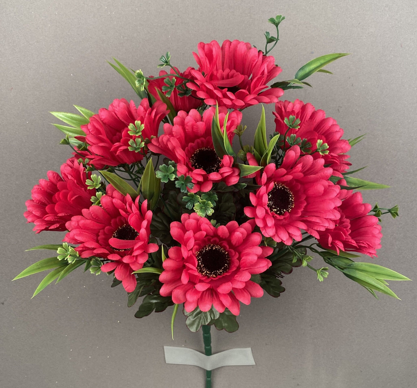 GERBER DAISY BUSH X12 BEAUTY - 41135