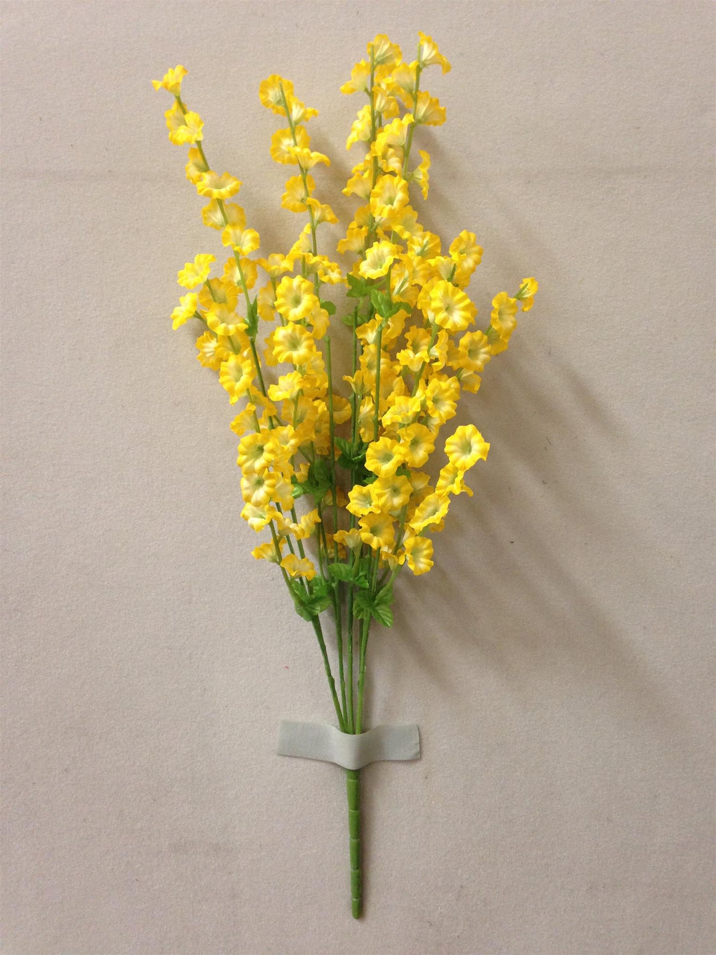 SMALL MORNING GLORY BUSH X5 YELLOW - 41662