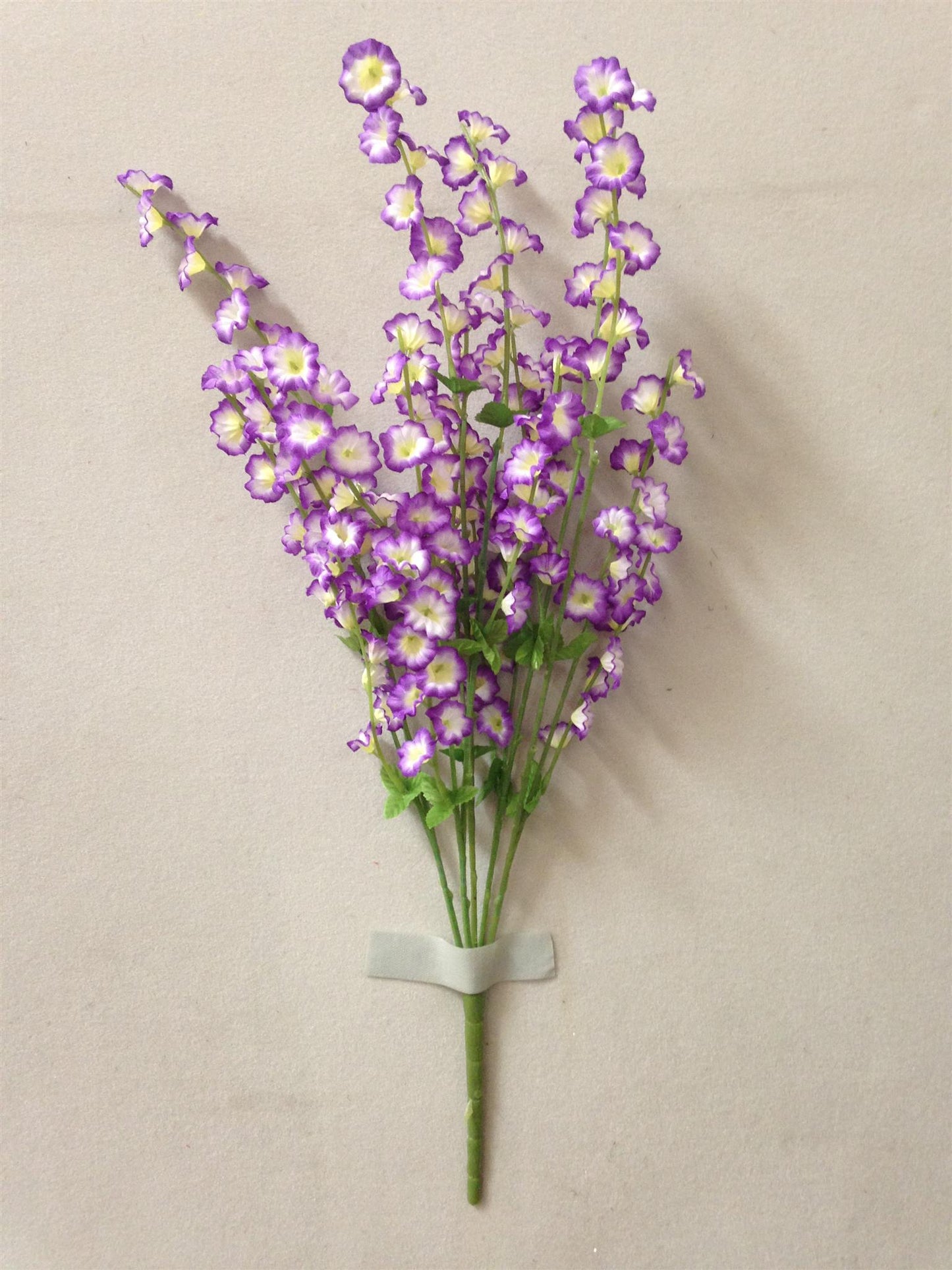 SMALL MORNING GLORY BUSH X5 PURPLE - 41664