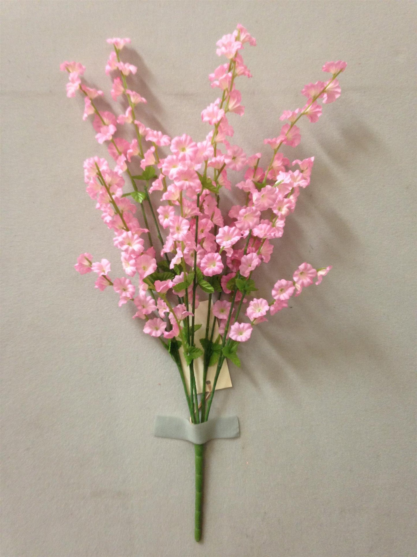 SMALL MORNING GLORY BUSH X5 PINK - 41665