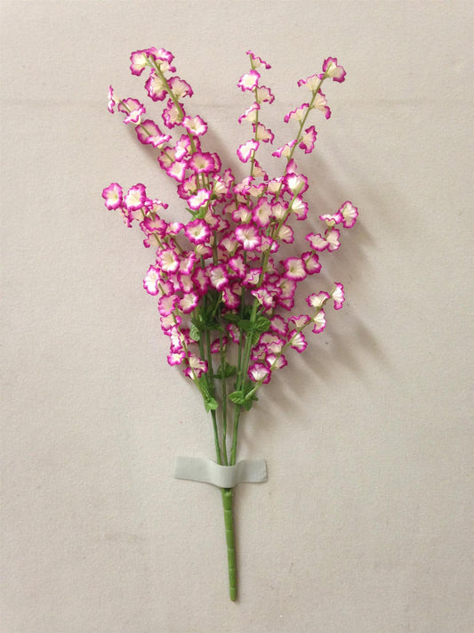 PINK AND WHITE SMALL MORNING GLORY BUSH X5 - 41667