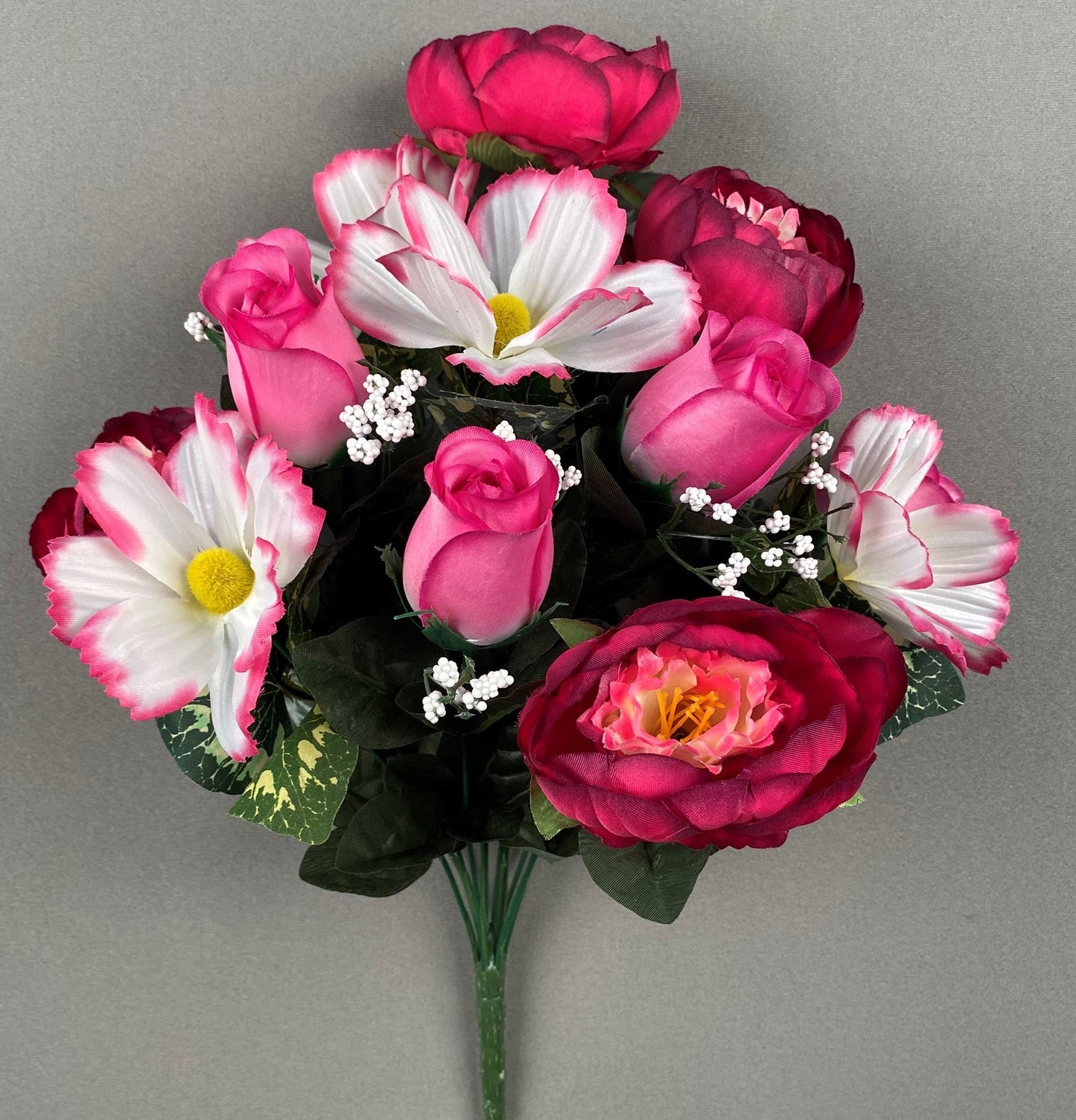 BEAUTY PEONY COSMO BUD X12 - 45775