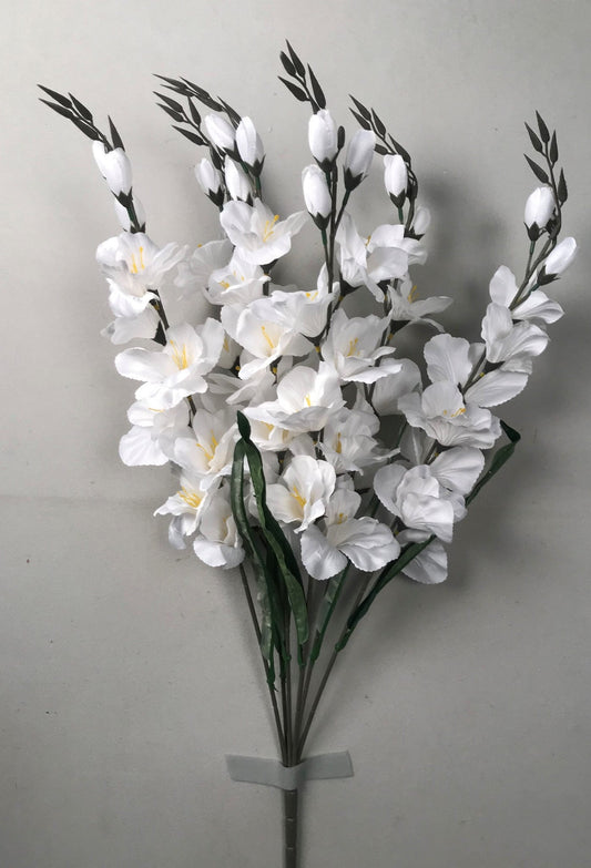 LARGE GLADIOLA BUSH X 6 WHITE - 46568