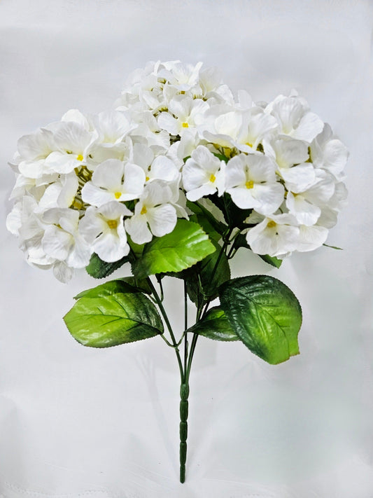 HYDRANGEA BUSH X 5 CREAM - 47321