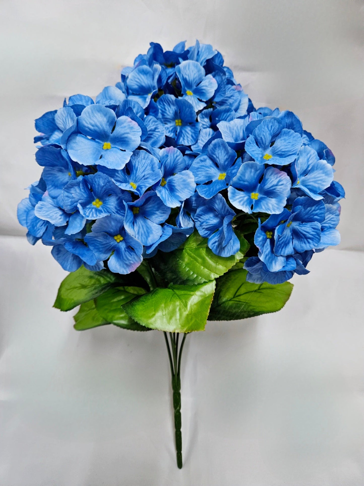 HYDRANGEA BUSH X 5 BLUE - 47323