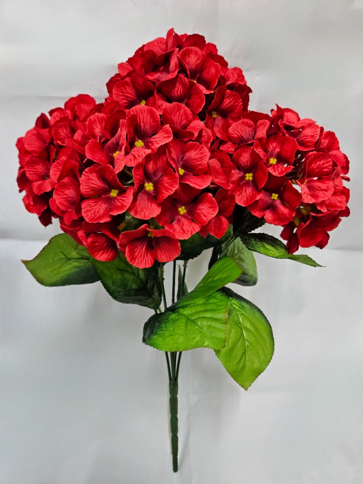 HYDRANGEA BUSH X 5 RED - 47324