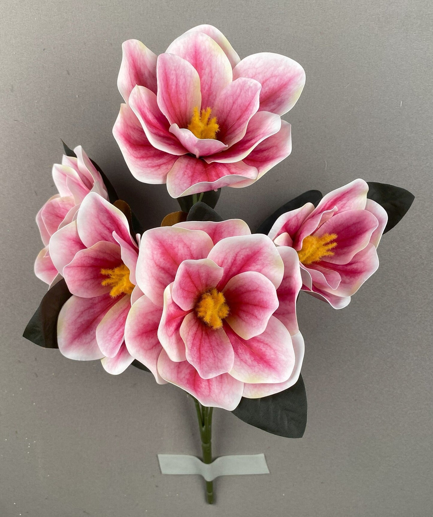 MAGNOLIA BUSH X 5 PINK - 47802