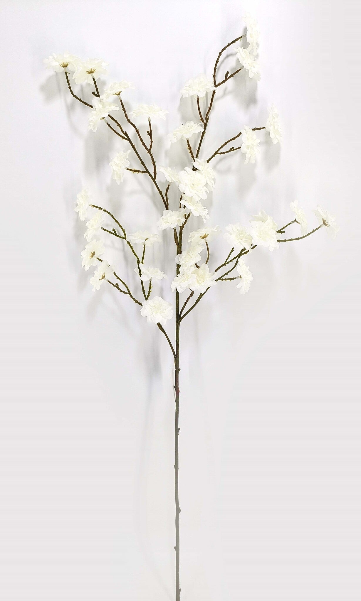 BLOSSOM SPRAY CREAM - 50131