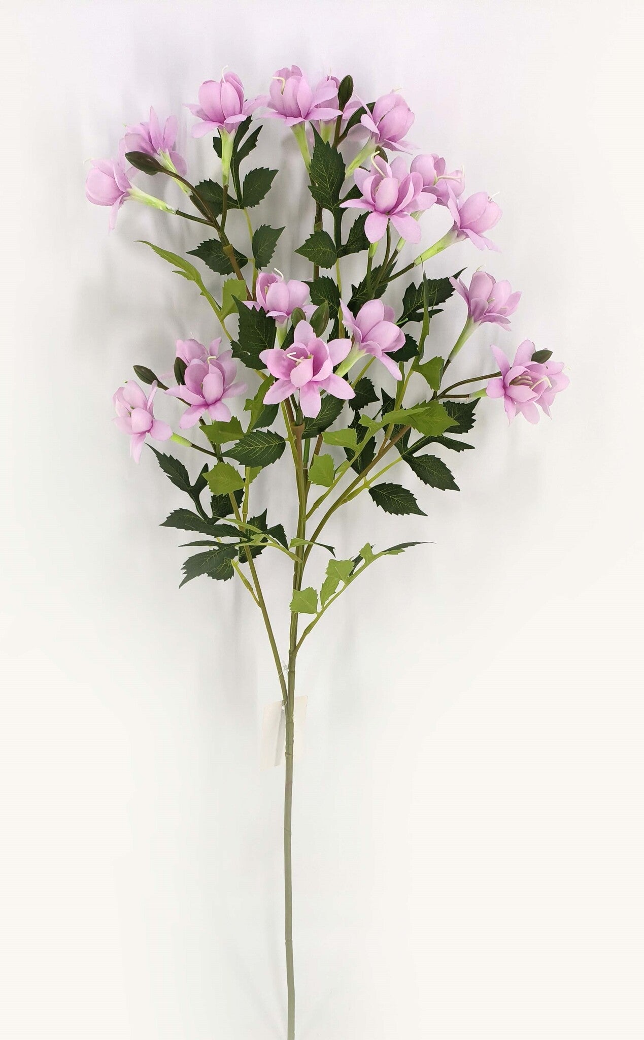 FUSCHIA SPRAY LAVENDER - 50162