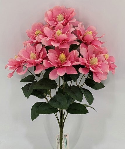 SMALL MAGNOLIA BUSH X 9 PORCH - 55135