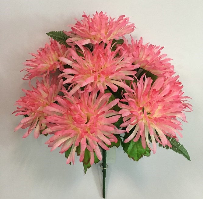 SPIDER MUM BUSH X 9 BEAUTY - 55360