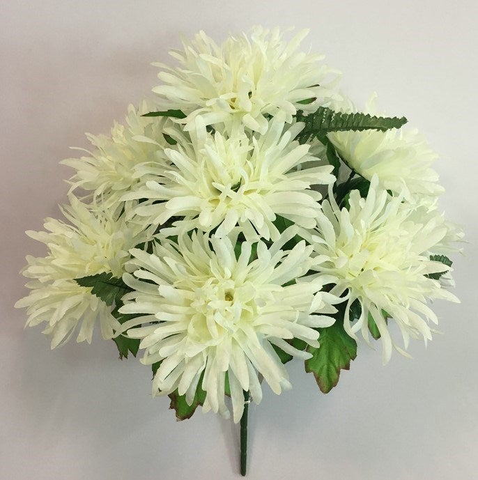 SPIDER MUM BSH X 9 CREAM - 55361