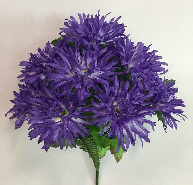 SPIDER MUM BSH X 9 PURPLE - 55365