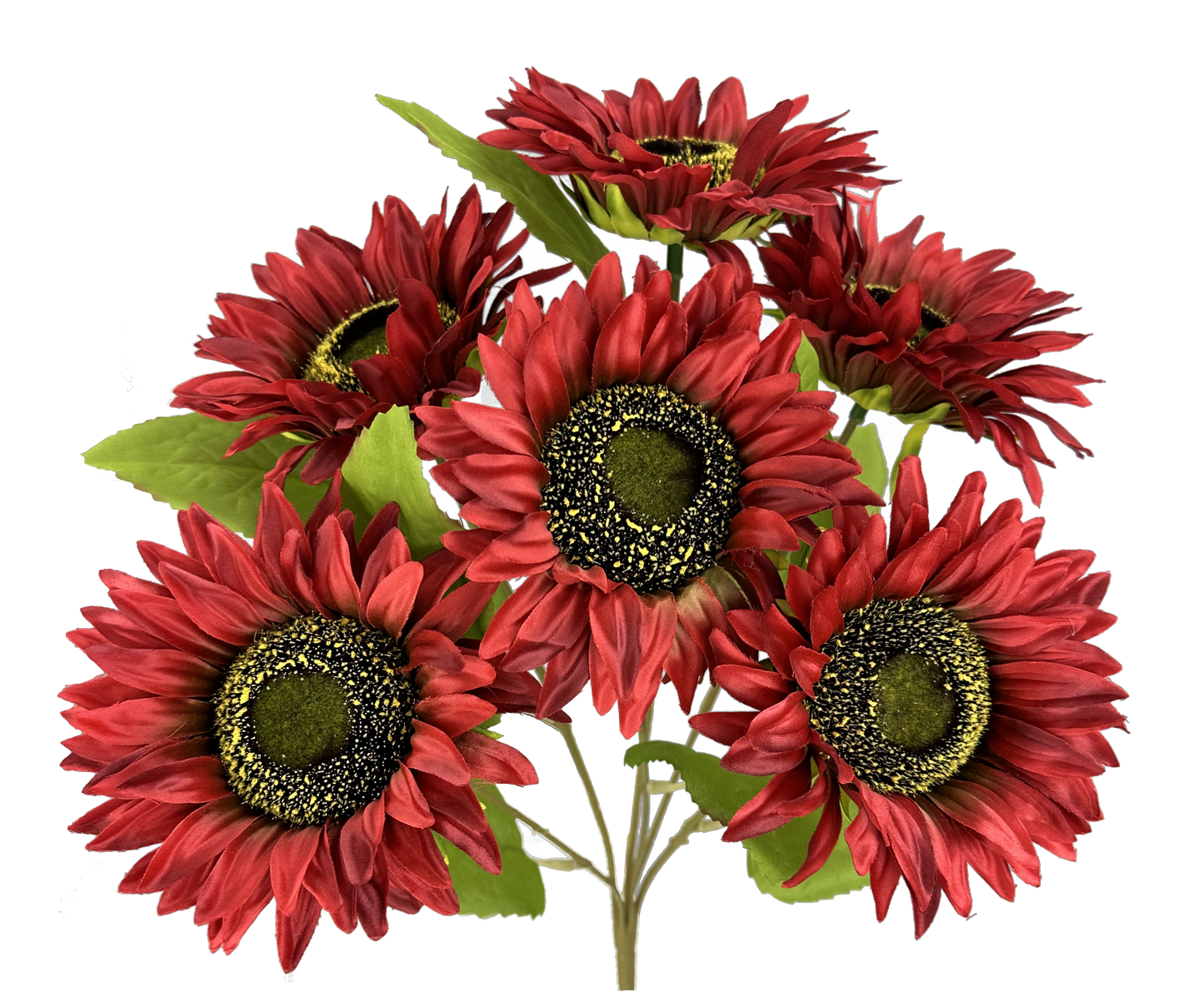 Burgundy Sunflower Bush x 6 H19 - 57108BG