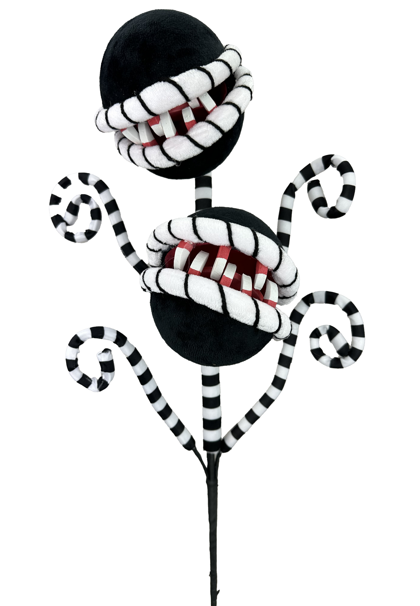Black Carnivorous Plant Curly Spray x 2 H26xDIA5 - 57142BK
