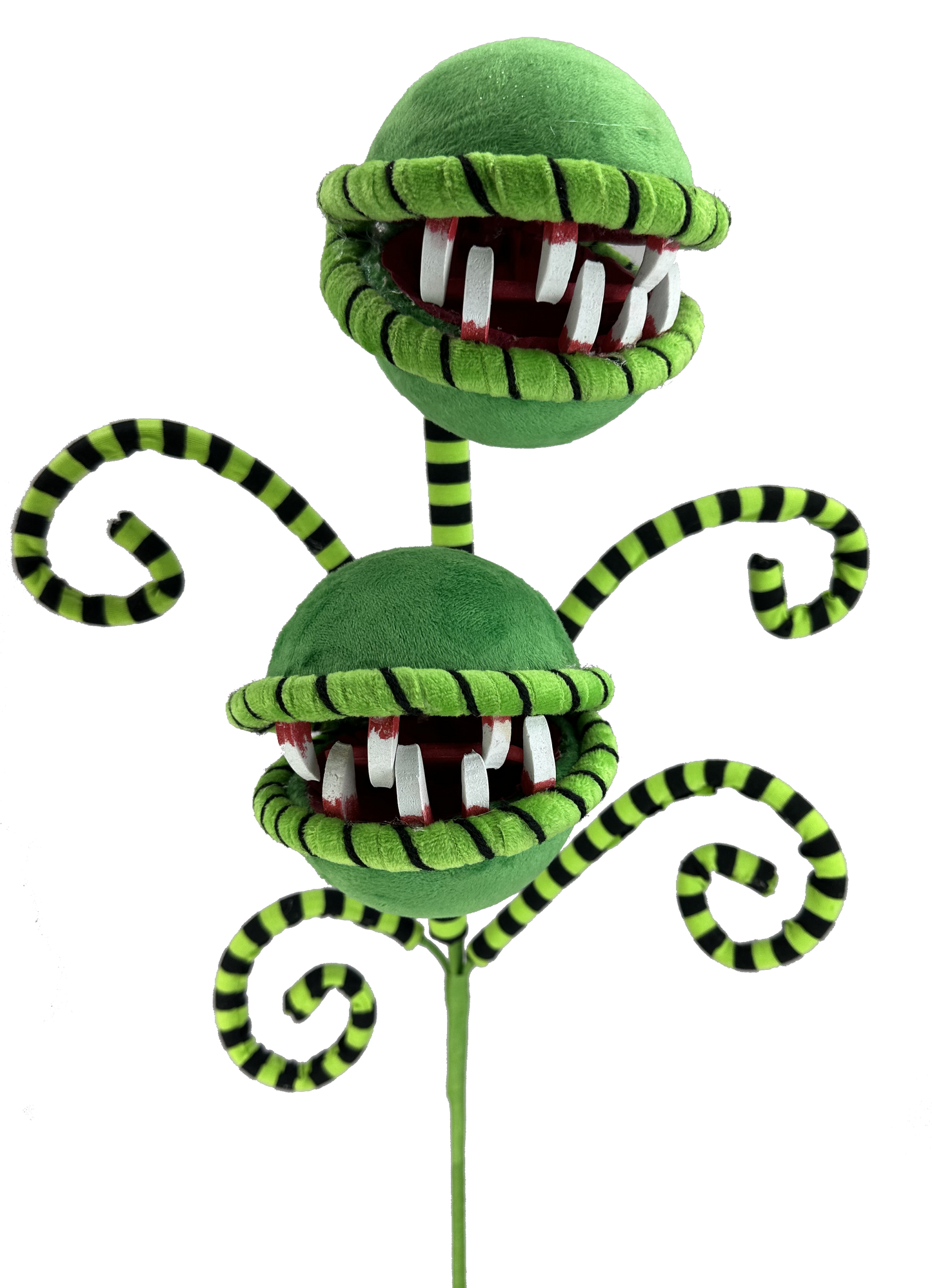 Carnivorous Plant Curly Spray x 2 H26xDIA5 - 57142GNBK
