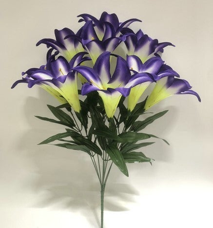TRUMPET LILY X 9 PURPLE - 59557