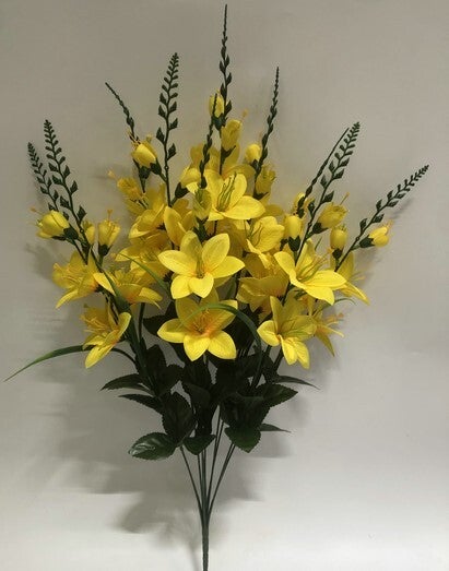 DELPHINIUM X 10 YELLOW - 59562