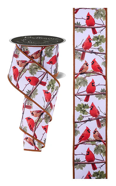 2.5"X10YD CARDINALS- WHT/BRWN/RED- LS1138RT