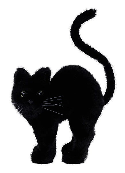 14.5"H X 10.75"L LONG FUR CAT W/WHISKERS- BLACK- HH4059