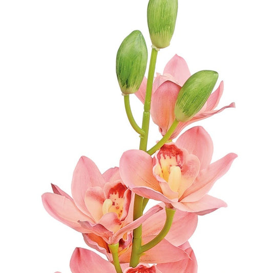 CYMBIDIUM ORCHID, 40", ROSE - 6189-RS