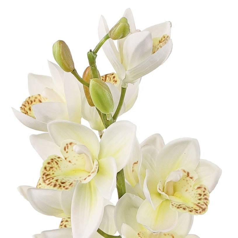 CYMBIDIUM ORCHID, 30", WHITE - 6226-W
