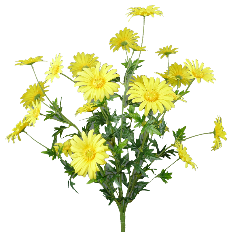 Yellow Daisy Bush X5, 25H - 62417YW