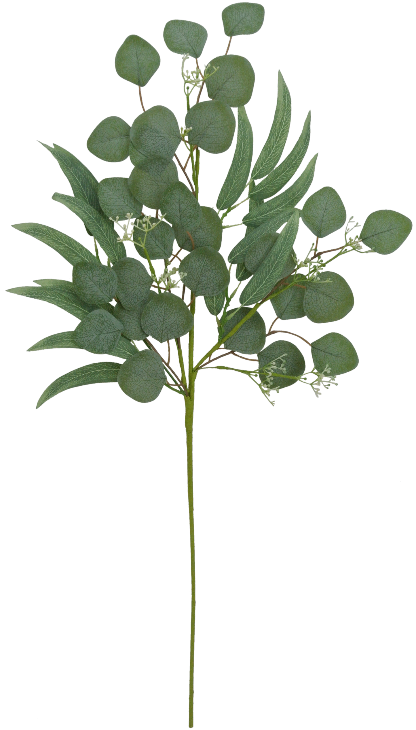 33" WILLOW EUCALYPTUS - 62818