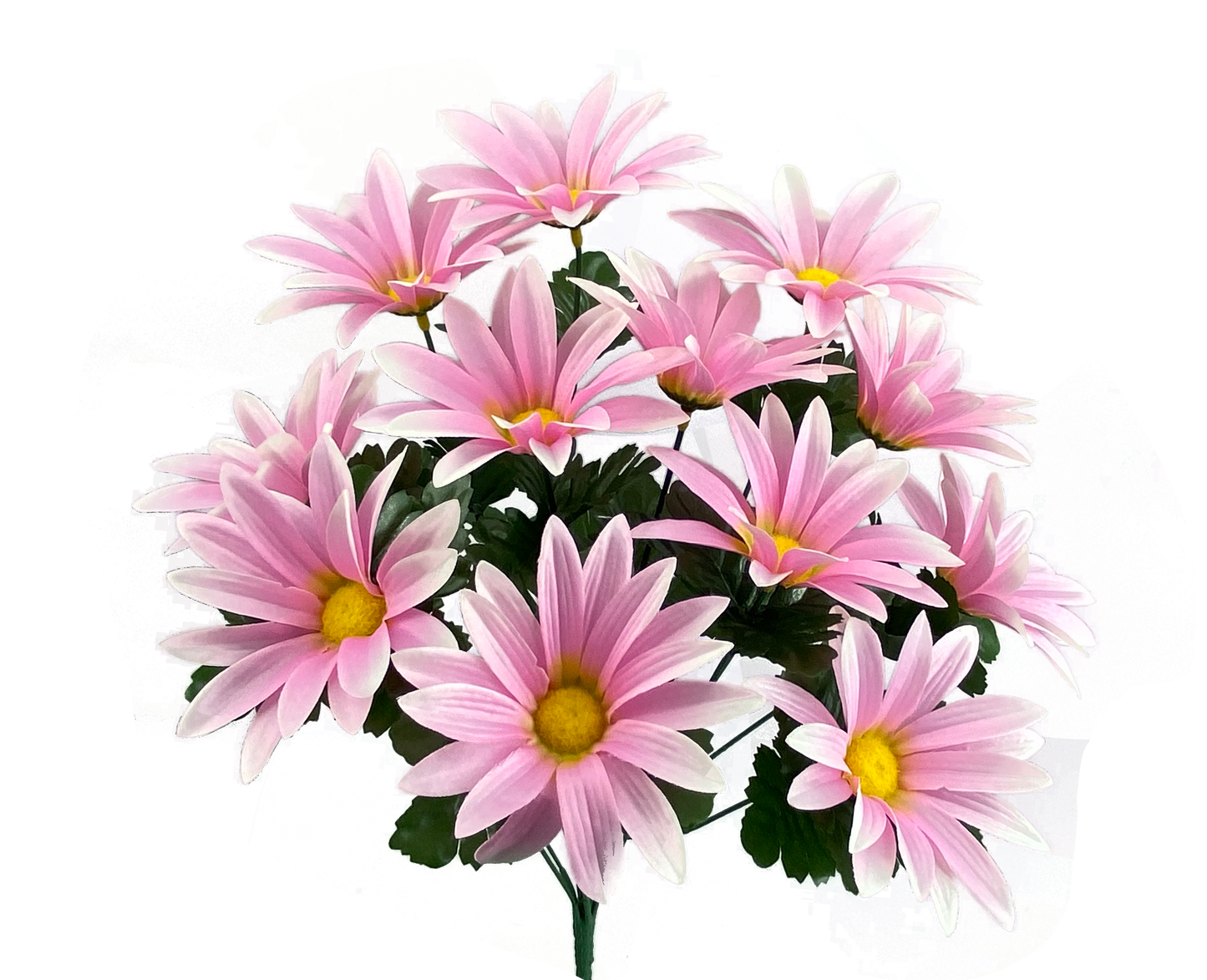 Pink Daisy bush x 12 H19 - 63375PK