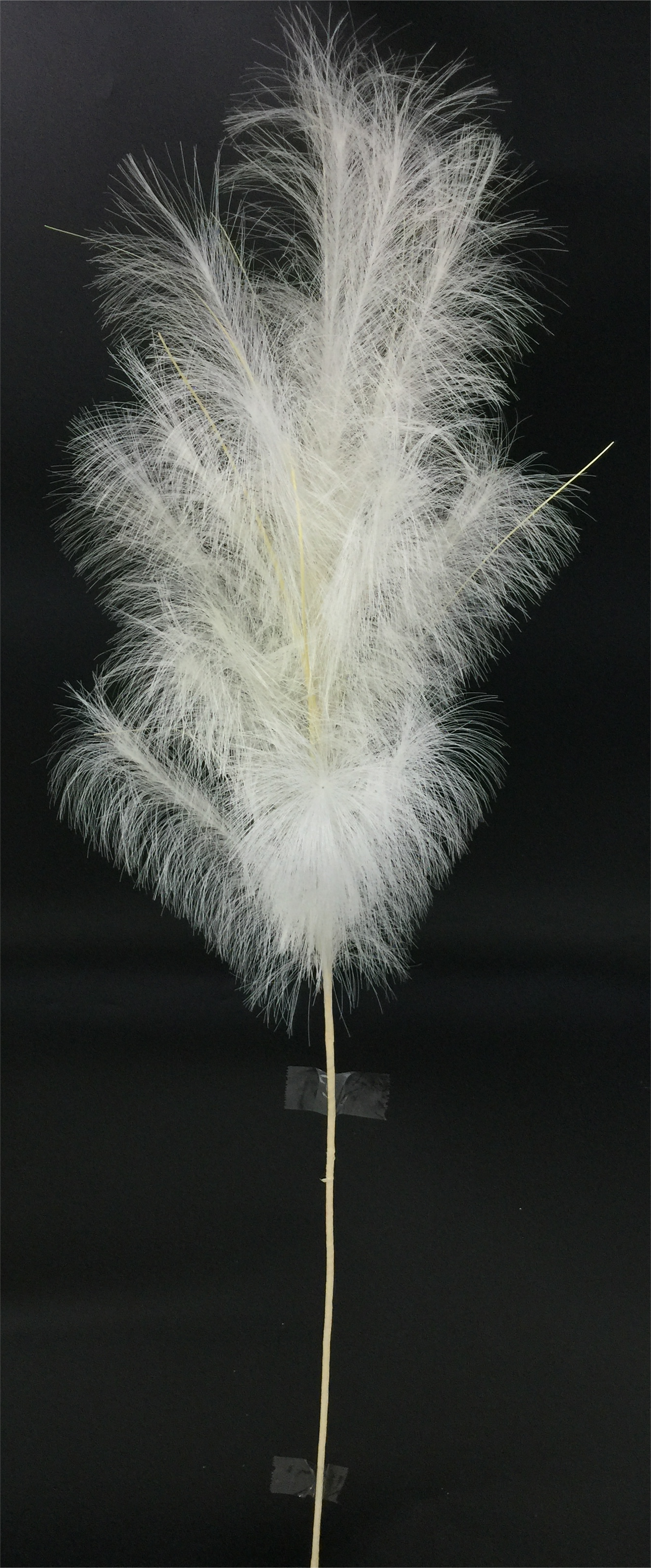 58 IN PAMPAS GRASS SPRAY-65185-WT