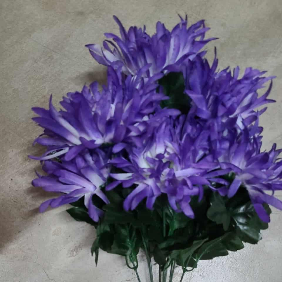 SPIDER MUM BSH X 9 DARK PURPLE - 55371